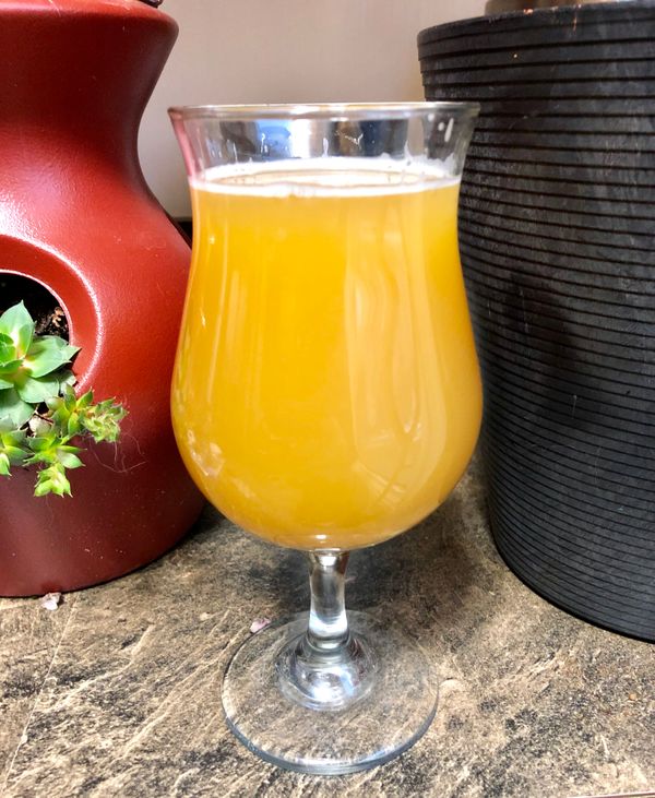 First Beer with Voss Kveik